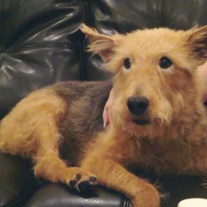 Meet your Posher, Diane